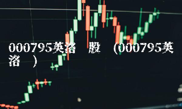 000795英洛华股吧(000795英洛华)