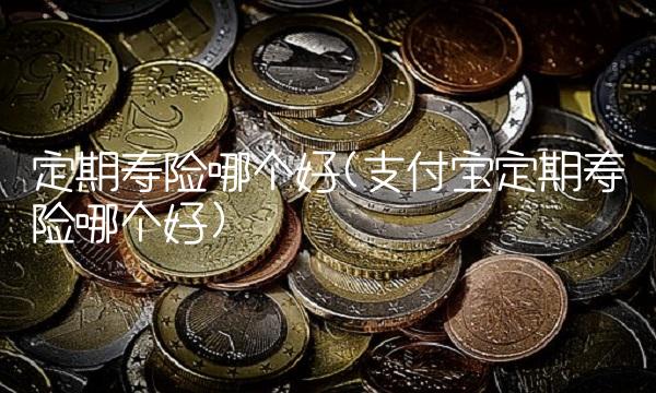 定期寿险哪个好(支付宝定期寿险哪个好)