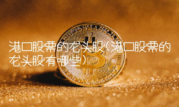 港口股票的龙头股(港口股票的龙头股有哪些)