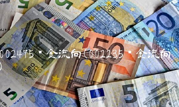 002475资金流向(002235资金流向)