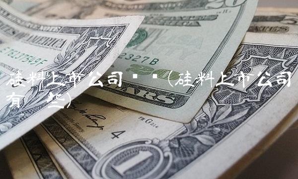 硅料上市公司龙头(硅料上市公司有哪些)