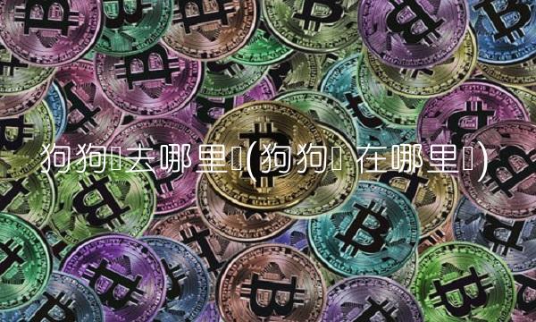 狗狗币去哪里买(狗狗币 在哪里买)(1)