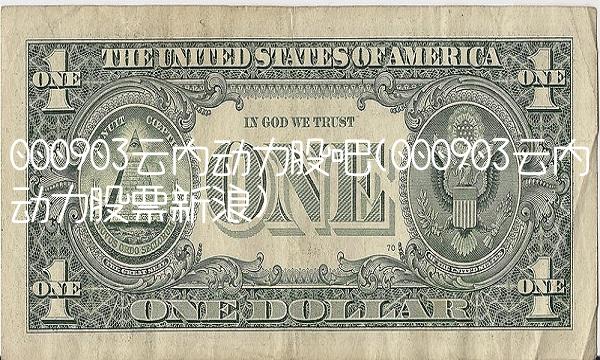 000903云内动力股吧(000903云内动力股票新浪)