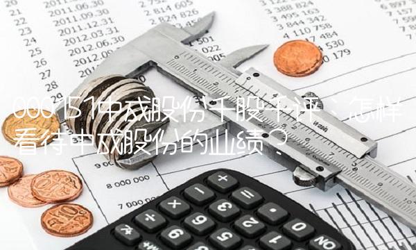 000151中成股份千股千评：怎样看待中成股份的业绩？
