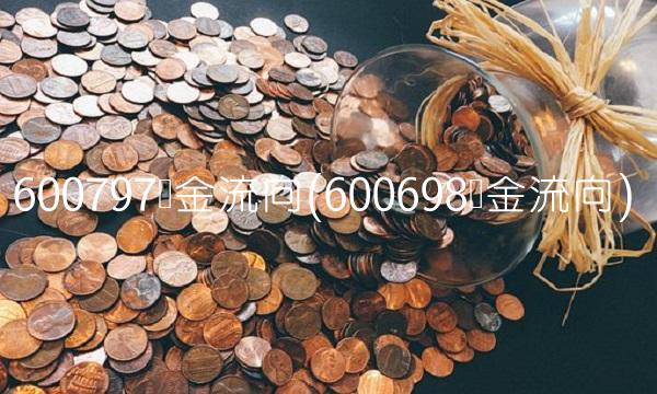 600797资金流向(600698资金流向)
