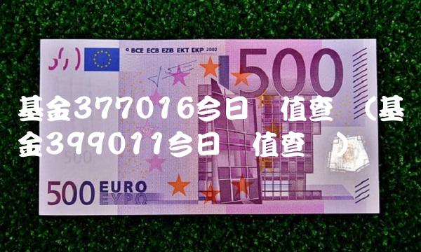基金377016今日净值查询(基金399011今日净值查询)