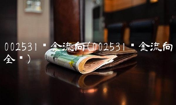 002531资金流向(002531资金流向全览)