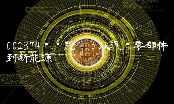 002374丽鹏股份：从汽车零部件到新能源