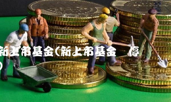 新上市基金(新上市基金涨停规则)