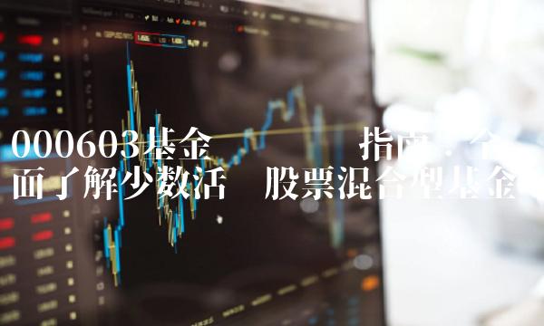 000603基金净值查询指南：全面了解少数活跃股票混合型基金