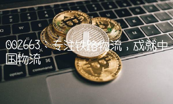 002663：专注铁路物流，成就中国物流