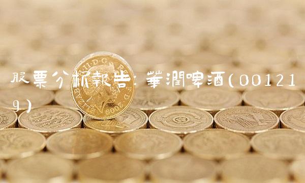 股票分析报告：华润啤酒（001219）