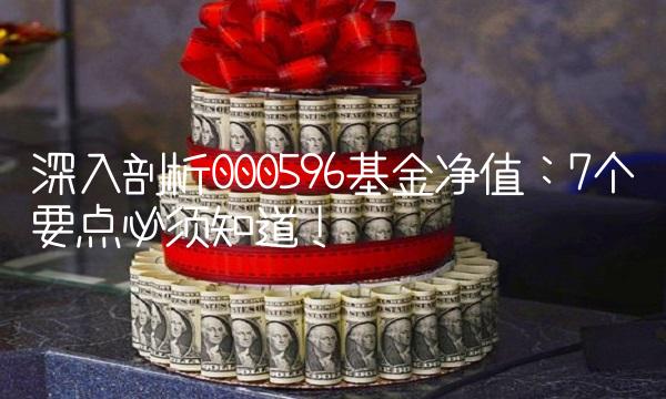 深入剖析000596基金净值：7个要点必须知道！