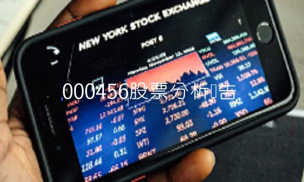000456股票分析报告(1)