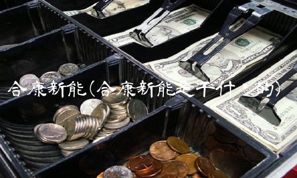 合康新能(合康新能是干什么的)