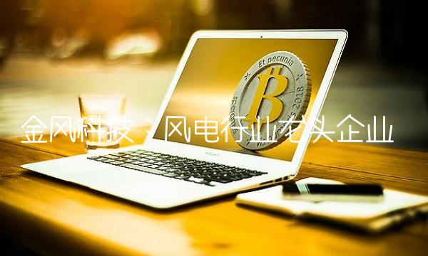 金风科技：风电行业龙头企业