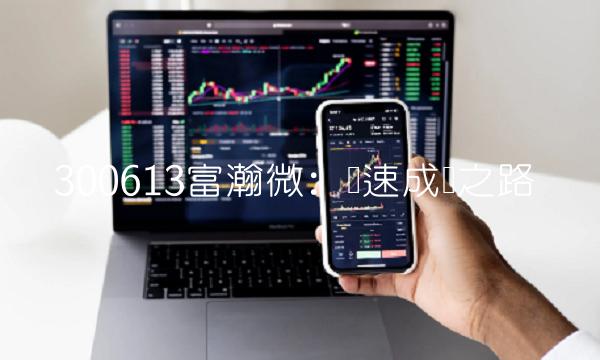 300613富瀚微：飞速成长之路