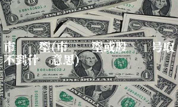 市场类型(市场类型或股东账号取不到什么意思)(1)