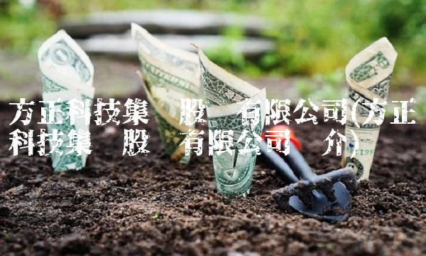方正科技集团股份有限公司(方正科技集团股份有限公司简介)