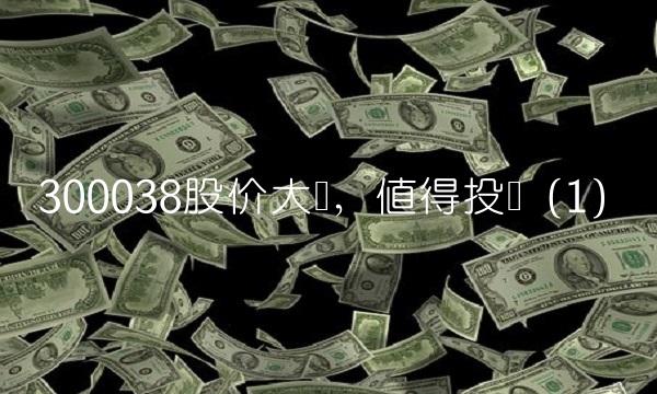 300038股价大涨，值得投资（1）