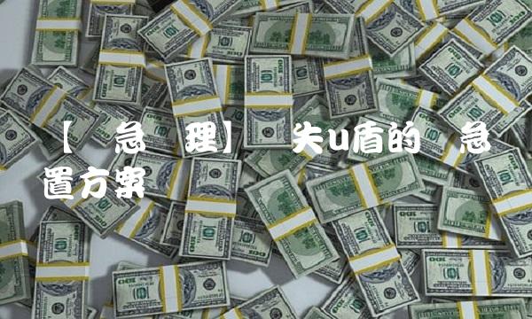 【紧急处理】丢失u盾的应急处置方案