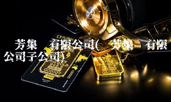 华芳集团有限公司(华芳集团有限公司子公司)