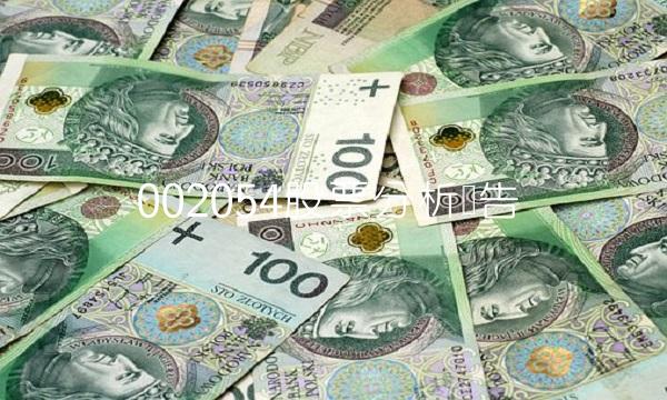 002054股票分析报告