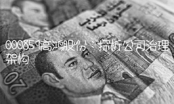 000851高鸿股份：探析公司治理架构