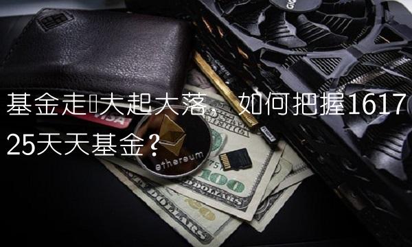 基金走势大起大落，如何把握161725天天基金？