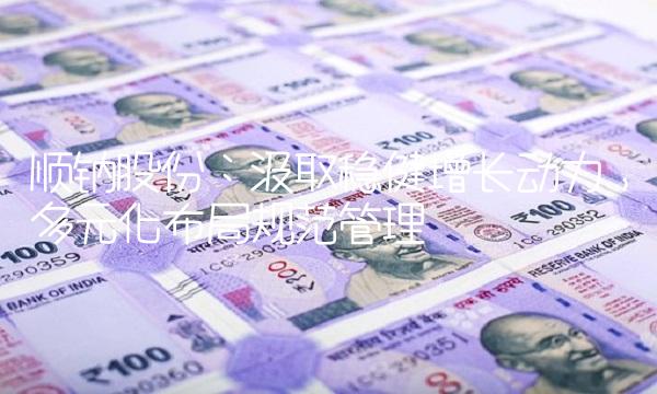 顺钠股份：汲取稳健增长动力，多元化布局规范管理