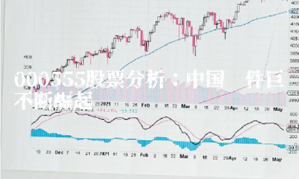 000555股票分析：中国软件巨头不断崛起