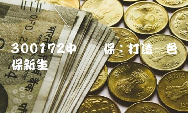 300172中电环保：打造绿色环保新生态