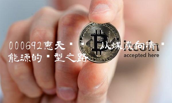 000692惠天热电——从煤炭向清洁能源的转型之路