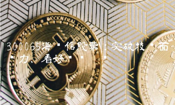 300065海兰信股票：突破技术面压力，看好业绩增长