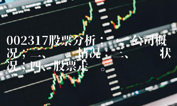 002317股票分析：一、公司概况；二、经营情况；三、财务状况；四、股票走势。