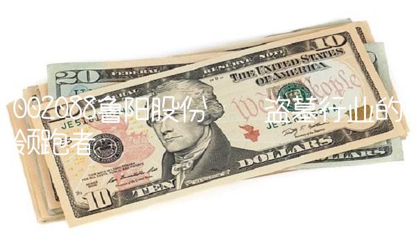 002088鲁阳股份——盗墓行业的领跑者