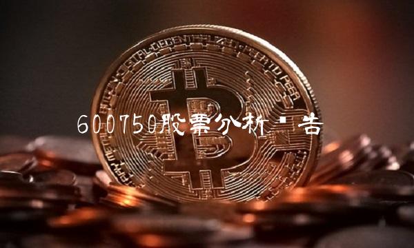 600750股票分析报告(1)