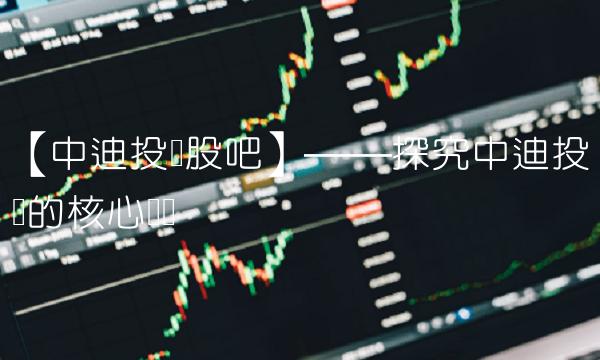 【中迪投资股吧】——探究中迪投资的核心业务