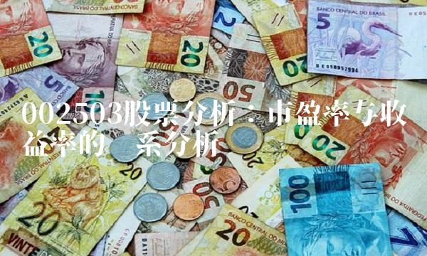 002503股票分析：市盈率与收益率的关系分析