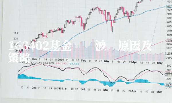 163402基金净值波动原因及应对策略
