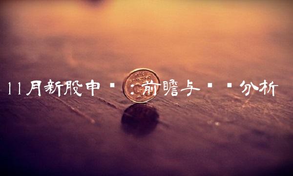 11月新股申购：前瞻与风险分析