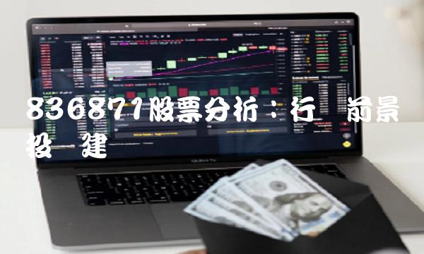 836871股票分析：行业前景与投资建议