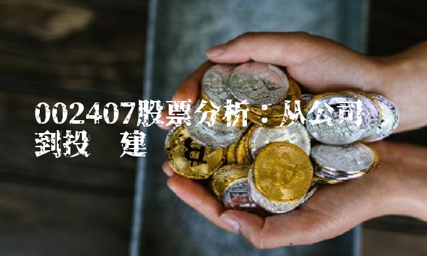 002407股票分析：从公司业绩到投资建议