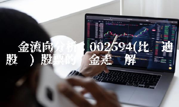 资金流向分析：002594(比亚迪股份) 股票的资金走势解读