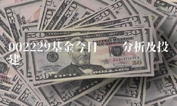 002229基金今日净值分析及投资建议