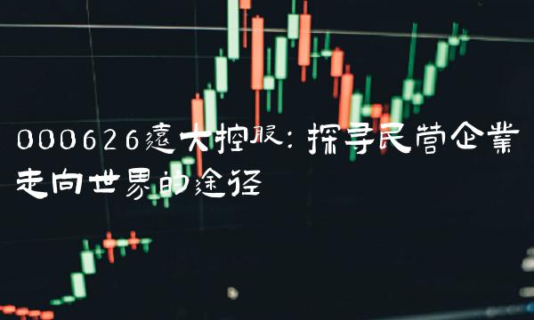 000626远大控股：探寻民营企业走向世界的途径