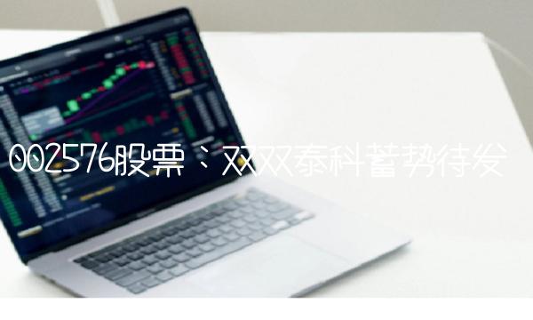 002576股票：双双泰科蓄势待发