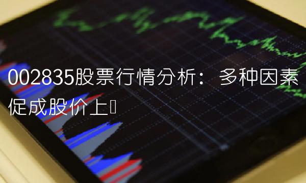 002835股票行情分析：多种因素促成股价上涨
