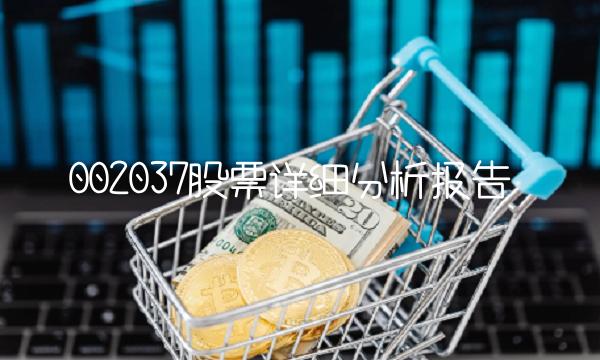 002037股票详细分析报告