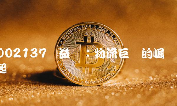 002137实益达：物流巨头的崛起